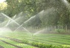 Omeolandscaping-water-management-and-drainage-17.jpg; ?>